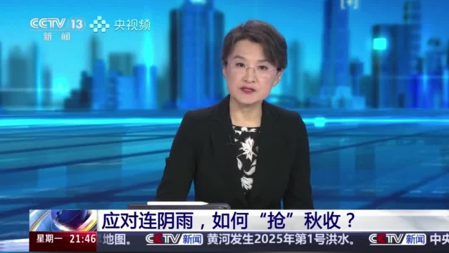 【主流媒體看周口】面對連陰雨 如何“搶”秋收？