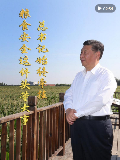 圖片.png