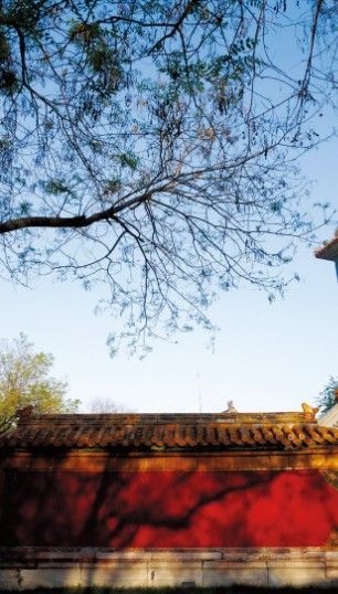 畢業旅行:走進中國古代最高學府國子監